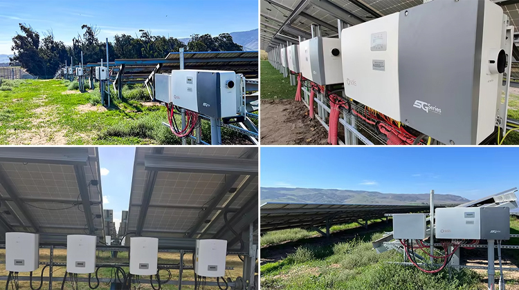 Solis  Inverters