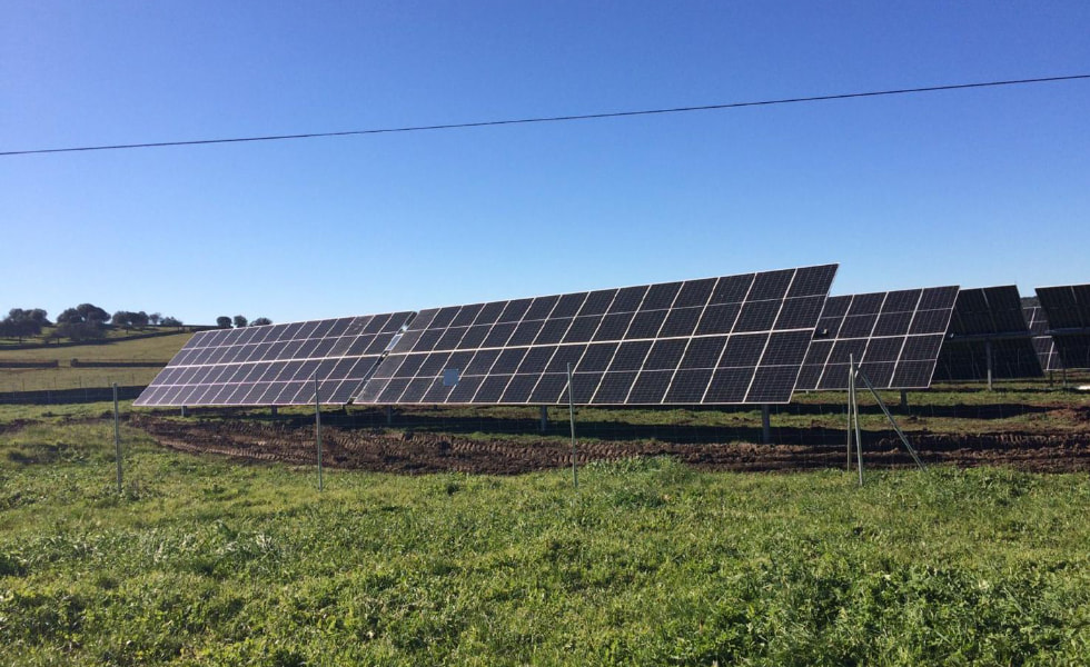 ¿Puedes usar paneles solares en tierras de cultivo?