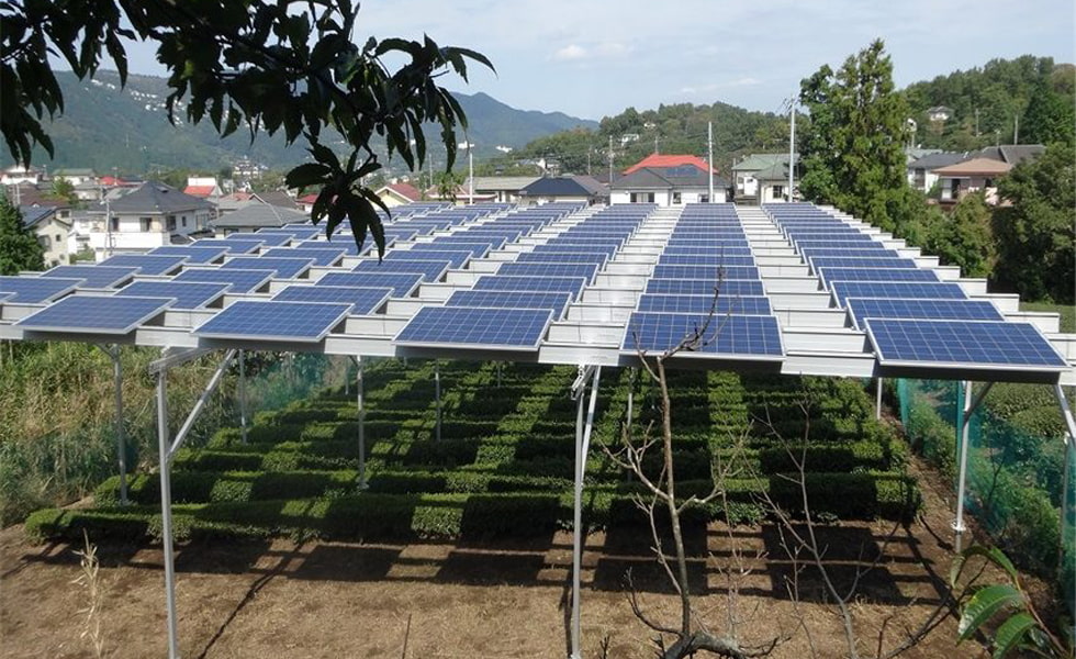 ¿Cómo puede ayudar la energía solar a los agricultores?
