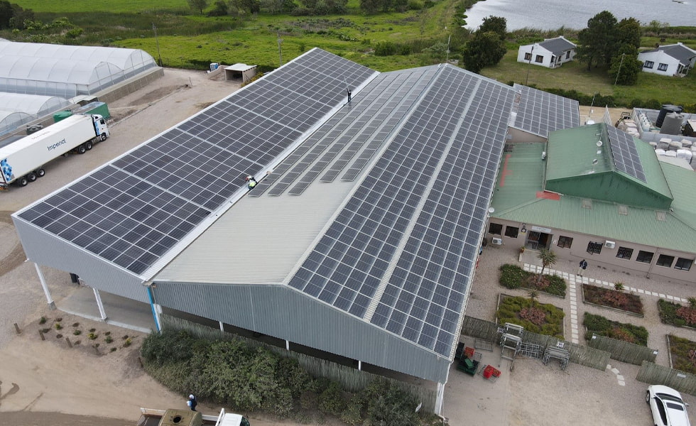 ¡2 GW, casi 6 mil millones de yuanes! Comienza la construcción de otra ola de proyectos fotovoltaicos.