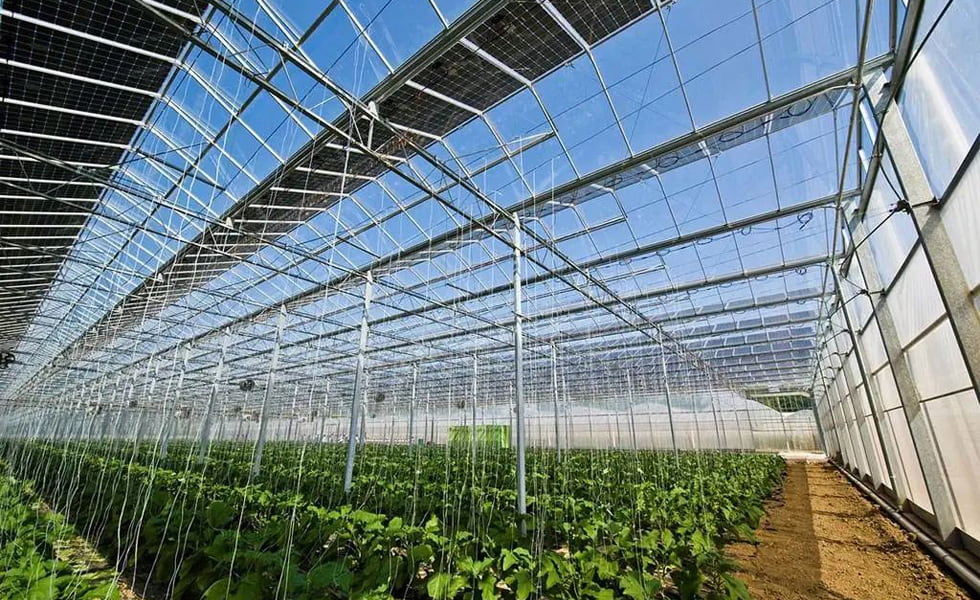 ¡La perspectiva de los invernaderos fotovoltaicos y agrícolas es inconmensurable!
